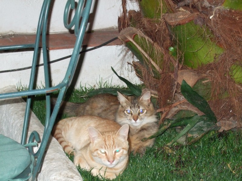 Anadalusien 2009 - 1023 